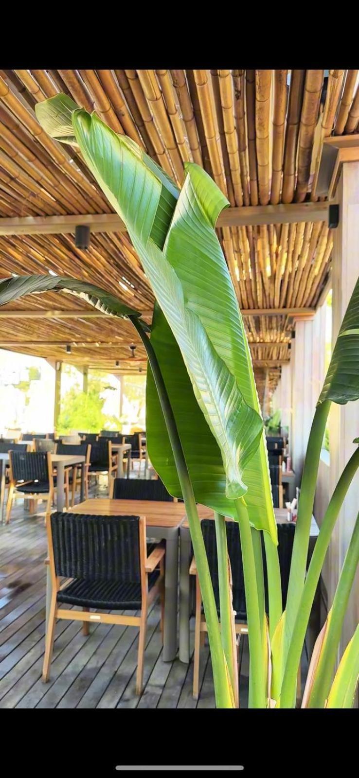 Sea Soul Hotel Bodrum Exterior photo